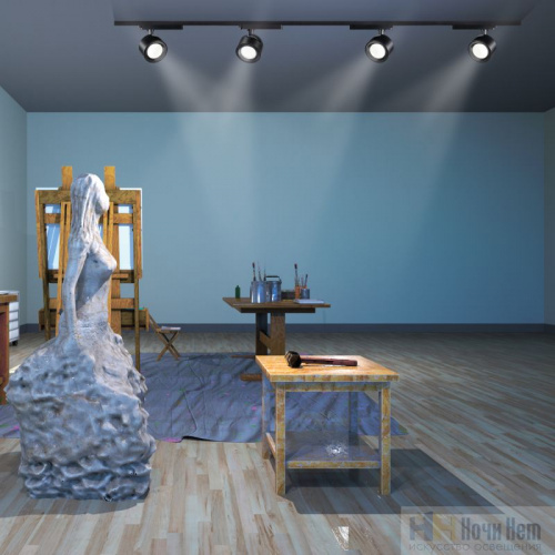 картинка Однофазный трековый светильник Novotech Pirum 358433 от магазина Ночи Нет!