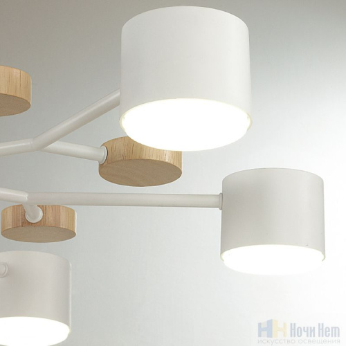 Люстра Lumion Rondo 8195/7C, раздел каталога Люстры с плафонами интернет-магазина Ночи Нет