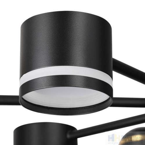 Люстра Lumion Virsava 8234/8C, раздел каталога Люстры с плафонами интернет-магазина Ночи Нет