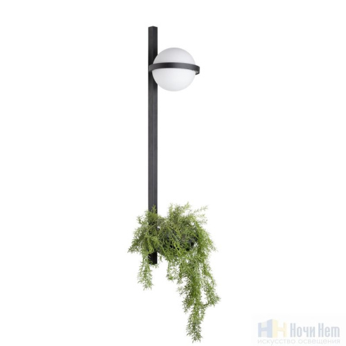 Бра Loft IT Jardin 10121W/B, раздел каталога Светодиодные бра интернет-магазина Ночи Нет