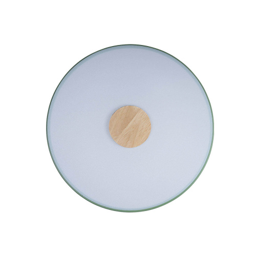 Светильник потолочный Loft IT Axel 10003/24 Green, раздел каталога Круглые современные светильники интернет-магазина Ночи Нет