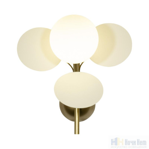 Бра Loft IT Matisse 10008/1W white, раздел каталога Бра с плафоном интернет-магазина Ночи Нет