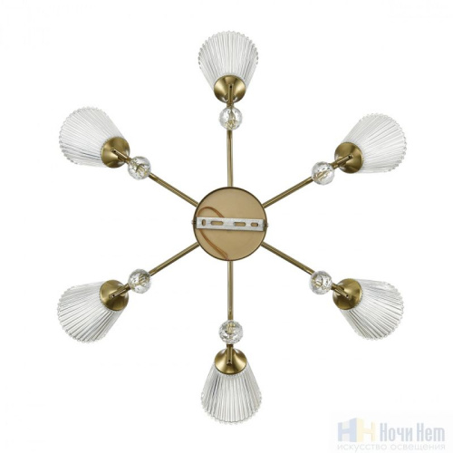 Люстра Lumion Aurica 8046/6C, раздел каталога Люстры с плафонами интернет-магазина Ночи Нет