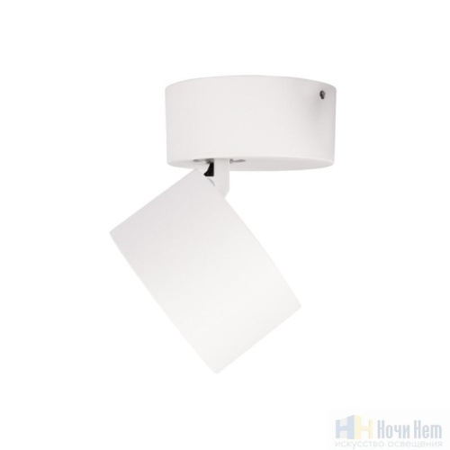 Светильник накладной LOFT IT Focus 10323/A White, раздел каталога Накладные точечные светильники интернет-магазина Ночи Нет