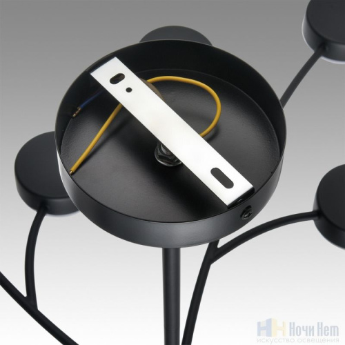 Люстра Lumion Torina 8117/18, раздел каталога Люстры с плафонами интернет-магазина Ночи Нет