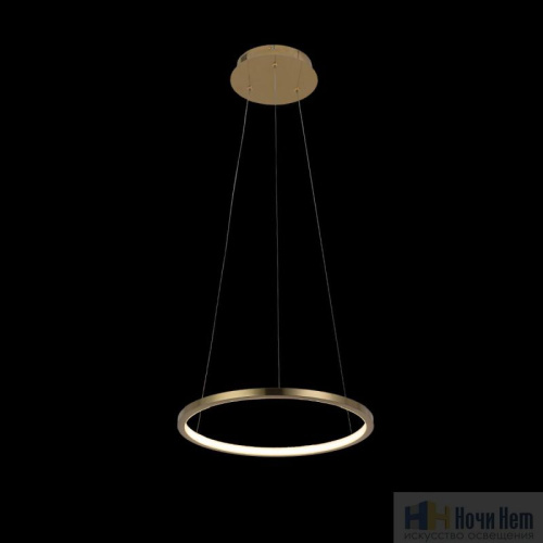 Люстра Loft IT Ring 10014S, раздел каталога Светодиодные люстры интернет-магазина Ночи Нет