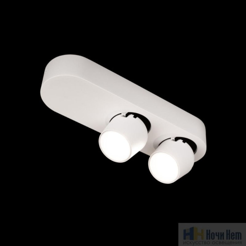 Спот LOFT IT Quiet 10320/2 White, раздел каталога Споты интернет-магазина Ночи Нет