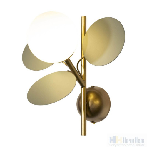 Бра Loft IT Matisse 10008/1W Grey, раздел каталога Бра с плафоном интернет-магазина Ночи Нет