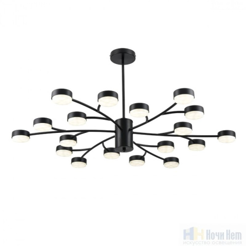 Люстра Lumion Torina 8117/18, раздел каталога Люстры с плафонами интернет-магазина Ночи Нет