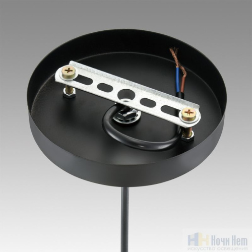 Светильник подвесной Lumion Leonela 8052/1A, раздел каталога Подвесы 1 лампа интернет-магазина Ночи Нет