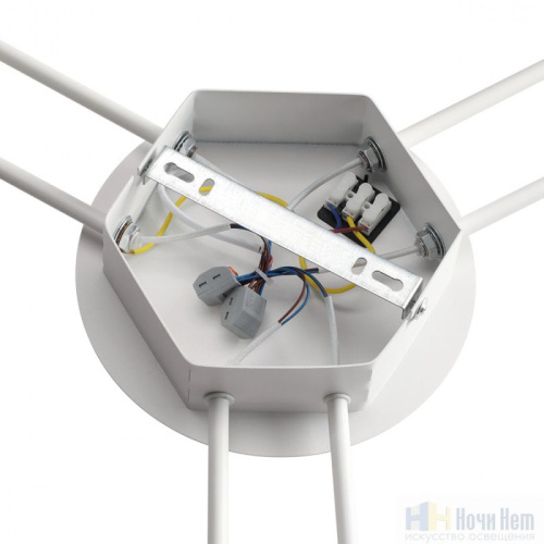 Люстра Lumion Gareta 8235/6C, раздел каталога Люстры с плафонами интернет-магазина Ночи Нет