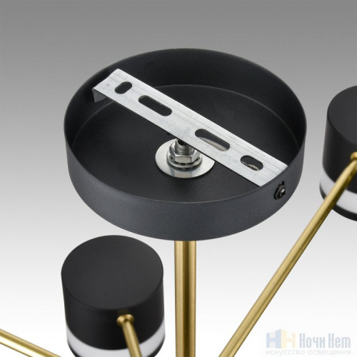 Люстра Lumion Lanika 8240/8C, раздел каталога Люстры с плафонами интернет-магазина Ночи Нет