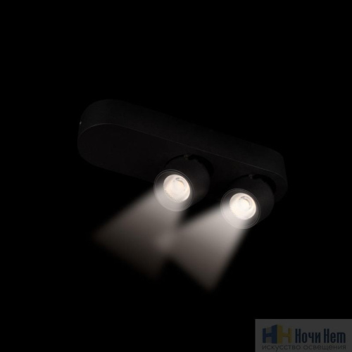 Спот LOFT IT Quiet 10320/2 Black, раздел каталога Споты интернет-магазина Ночи Нет
