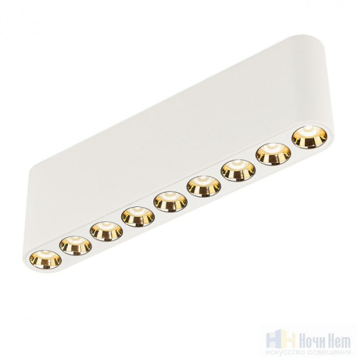 Светильник накладной Odeon Light Small 7091/21CL, раздел каталога Накладные точечные светильники интернет-магазина Ночи Нет