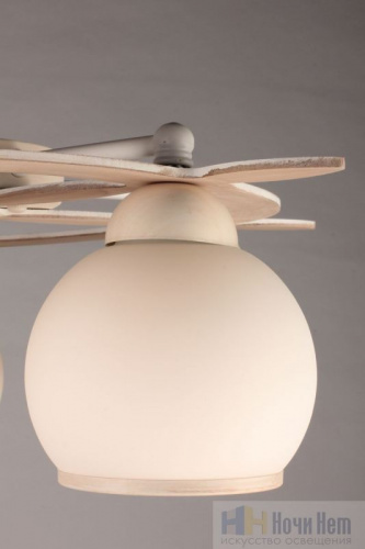 Люстра потолочная Omnilux Fronteira OML-50517-05, раздел каталога Люстры с плафонами интернет-магазина Ночи Нет