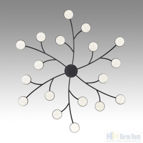 Люстра Lumion Torina 8117/18, раздел каталога Люстры с плафонами интернет-магазина Ночи Нет