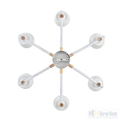 Люстра Lumion Rosalina 8097/6C, раздел каталога Люстры с плафонами интернет-магазина Ночи Нет