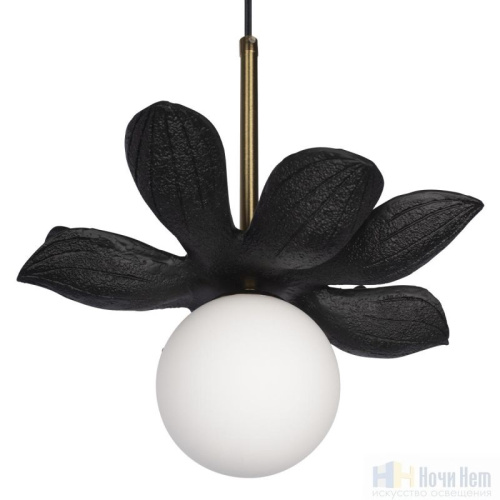 Светильник подвесной Loft IT Monro 10213/B Black, раздел каталога Подвесы 1 лампа интернет-магазина Ночи Нет