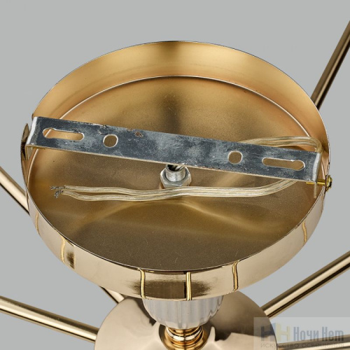 Люстра Lumion Vivien 6580/7C, раздел каталога Люстры с плафонами интернет-магазина Ночи Нет