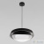 Светильник подвесной LOFT IT Petale 10256P Black, раздел каталога Подвесы 1 лампа интернет-магазина Ночи Нет