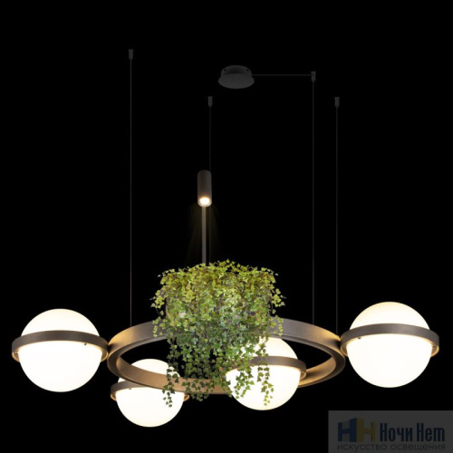 Люстра Loft IT Jardin 10121/4 Dark grey, раздел каталога Светодиодные люстры интернет-магазина Ночи Нет