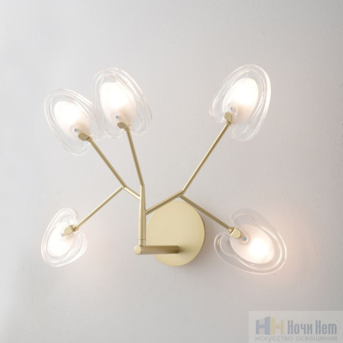 Бра Crystal Lux SOLE AP5 GOLD 3021/405, раздел каталога Бра с плафоном интернет-магазина Ночи Нет