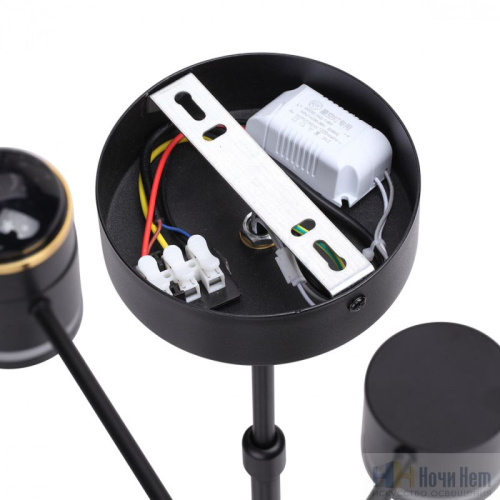 Люстра Lumion Virsava 8234/6C, раздел каталога Люстры с плафонами интернет-магазина Ночи Нет