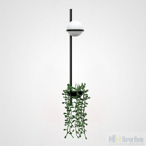 Бра ImperiumLoft Palma 168496-22, раздел каталога Бра с плафоном интернет-магазина Ночи Нет