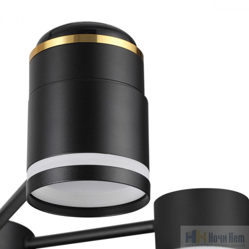 Люстра Lumion Virsava 8234/6C, раздел каталога Люстры с плафонами интернет-магазина Ночи Нет