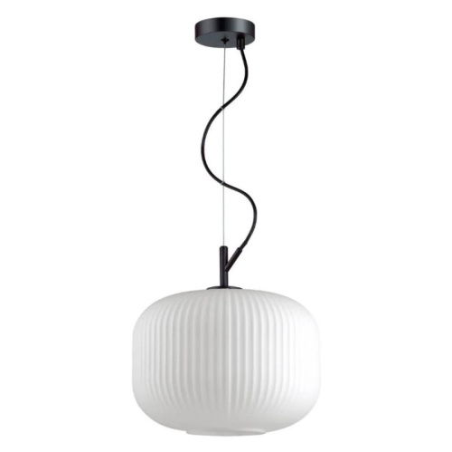 Светильник подвесной Odeon Light Roofi 4754/1, раздел каталога Подвесы 1 лампа интернет-магазина Ночи Нет