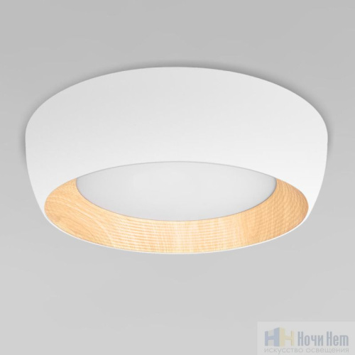 10255/500 White Потолочный светильник LOFT IT Folk, раздел каталога Круглые современные светильники интернет-магазина Ночи Нет