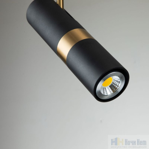 Светильник подвесной Favourite Light point 2997-1P, раздел каталога Подвесы 1 лампа интернет-магазина Ночи Нет