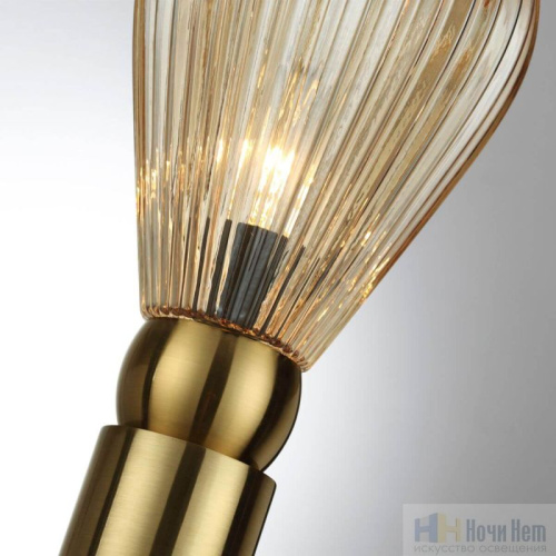 Настольная лампа Odeon Light Elica 5402/1T, раздел каталога Настольные лампы с плафоном интернет-магазина Ночи Нет