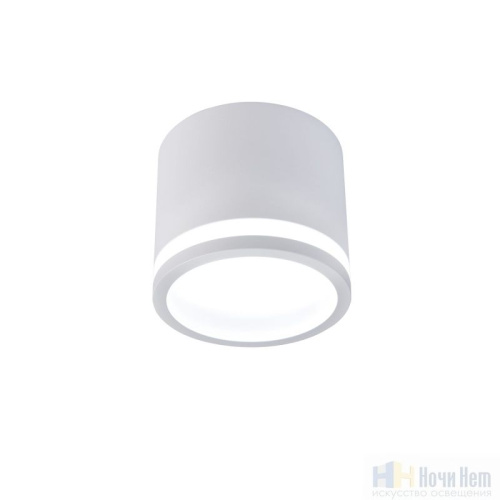 Светильник накладной Favourite Festum 4213-1C, раздел каталога Накладные точечные светильники интернет-магазина Ночи Нет