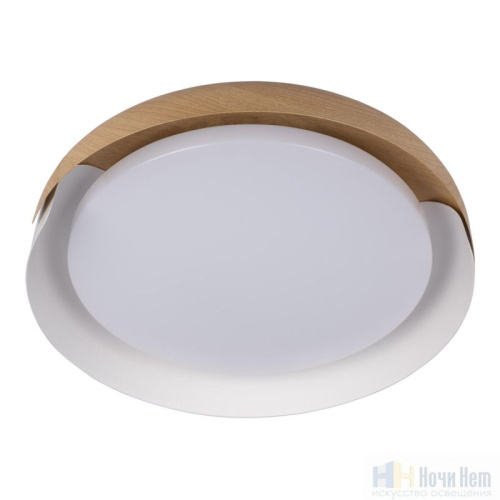 Светильник потолочный Loft IT Coin 10198 White, раздел каталога Круглые современные светильники интернет-магазина Ночи Нет