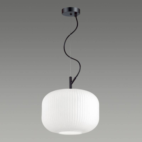 Светильник подвесной Odeon Light Roofi 4754/1, раздел каталога Подвесы 1 лампа интернет-магазина Ночи Нет