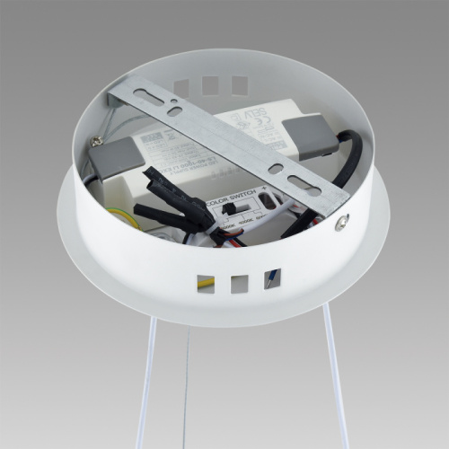 Люстра Lumion Felisiti 8104/38L, раздел каталога Люстры с плафонами интернет-магазина Ночи Нет