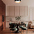 10255/500 White Потолочный светильник LOFT IT Folk, раздел каталога Круглые современные светильники интернет-магазина Ночи Нет