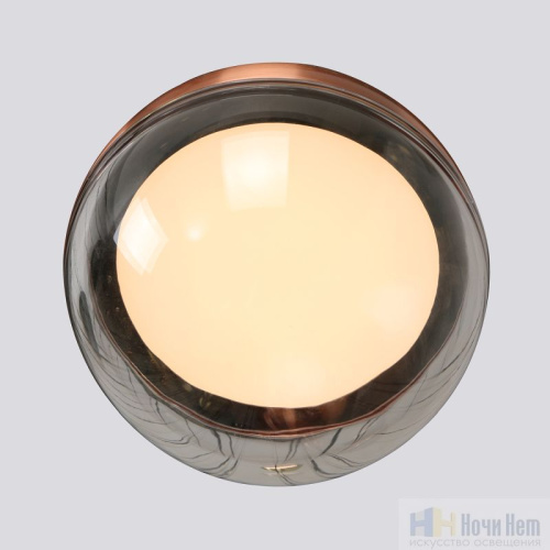 Светильник подвесной Favourite Luna 4371-1P, раздел каталога Подвесы 1 лампа интернет-магазина Ночи Нет