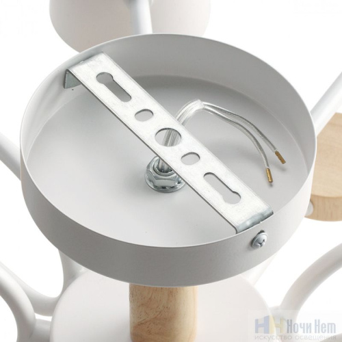 Люстра Lumion Rondo 8196/10C, раздел каталога Люстры с плафонами интернет-магазина Ночи Нет