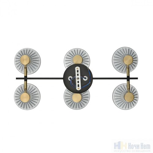 Люстра Lumion Anriya 8044/6C, раздел каталога Люстры с плафонами интернет-магазина Ночи Нет