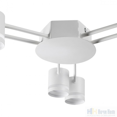 Люстра Lumion Gareta 8235/6C, раздел каталога Люстры с плафонами интернет-магазина Ночи Нет