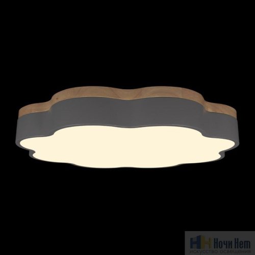 Светильник Loft IT Axel 10225/36 Grey, раздел каталога Детские светильники интернет-магазина Ночи Нет