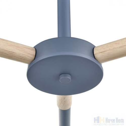 Люстра Lumion Rosalina 8098/3C, раздел каталога Люстры с плафонами интернет-магазина Ночи Нет