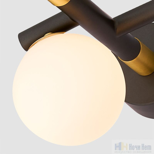 Бра Favourite Sparrow 4324-1W, раздел каталога Бра с плафоном интернет-магазина Ночи Нет