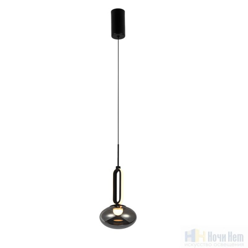 Светильник подвесной Favourite Baron 4284-1P, раздел каталога Подвесы 1 лампа интернет-магазина Ночи Нет