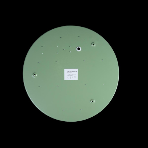 Светильник потолочный Loft IT Axel 10003/24 Green, раздел каталога Круглые современные светильники интернет-магазина Ночи Нет