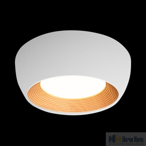 10255/350 White Потолочный светильник LOFT IT Folk, раздел каталога Круглые современные светильники интернет-магазина Ночи Нет