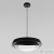 Светильник подвесной LOFT IT Petale 10256P Black, раздел каталога Подвесы 1 лампа интернет-магазина Ночи Нет
