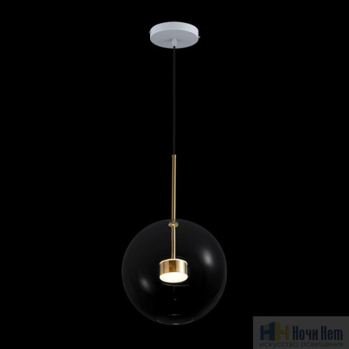 Светильник подвесной Loft IT Bolle 2027-P1, раздел каталога Подвесы 1 лампа интернет-магазина Ночи Нет